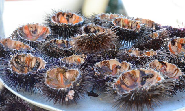 oursinade bon appétit homie appli app sorties